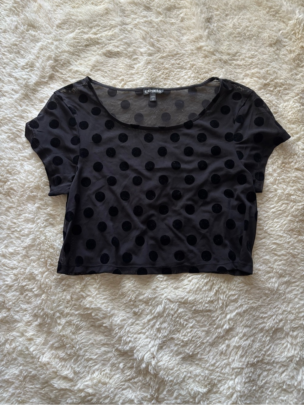 Express Black Polka Dot Sheer Velvet-Spot Crop Top